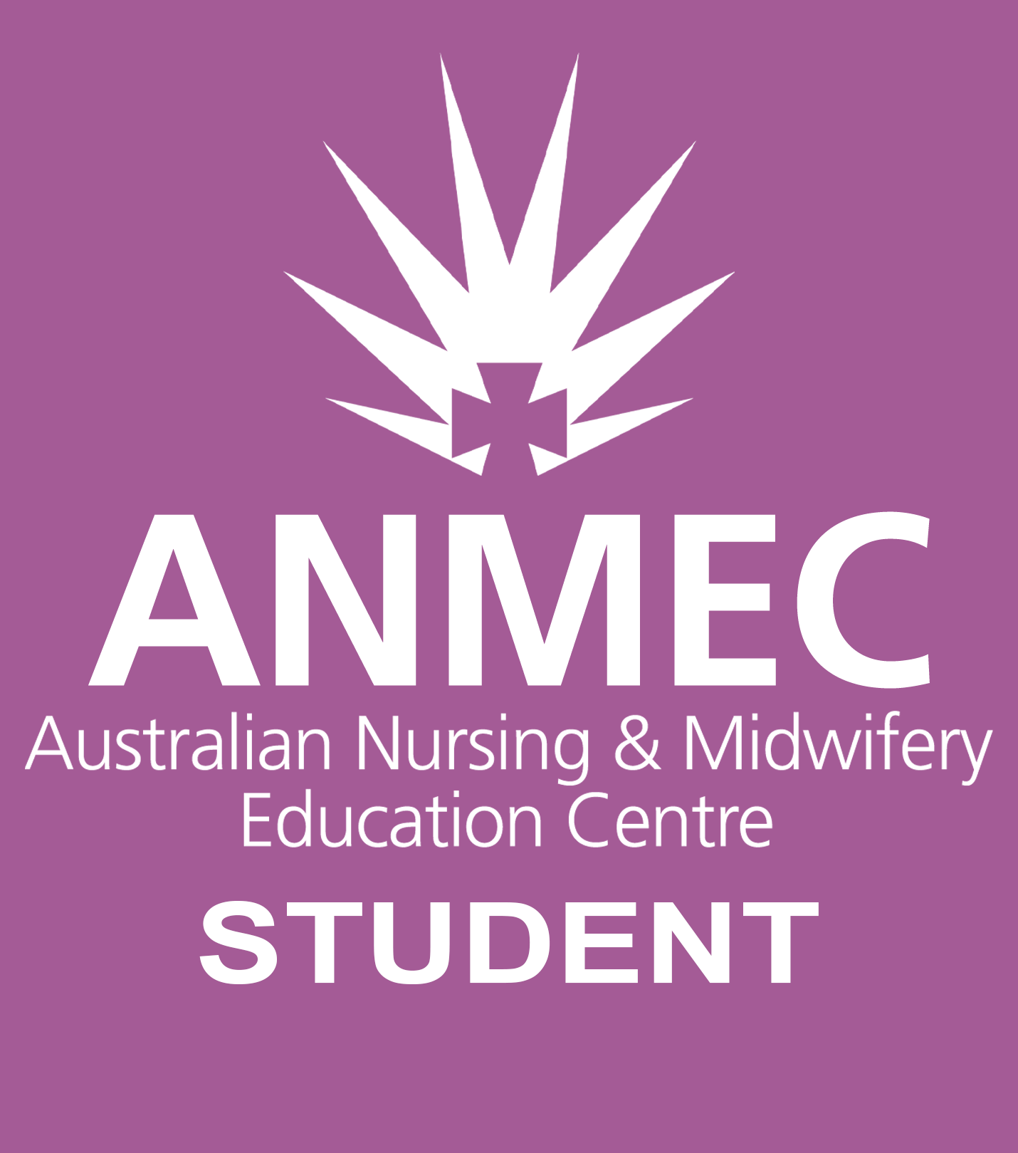 ANMEC Student Jumpers