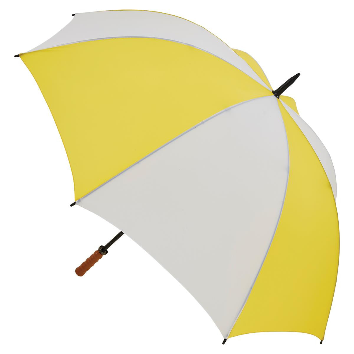 2005    Virginia Umbrella